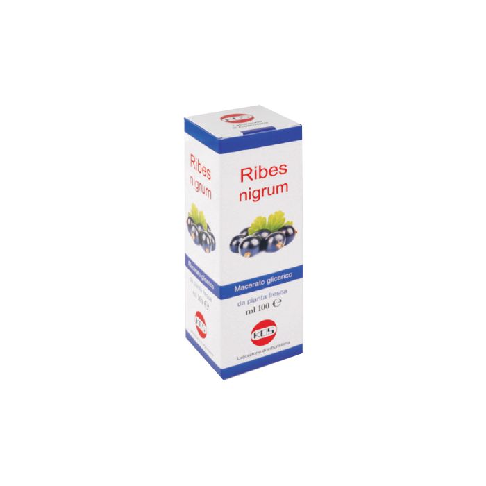 Ribes Nigrum mg 100ml Gtt