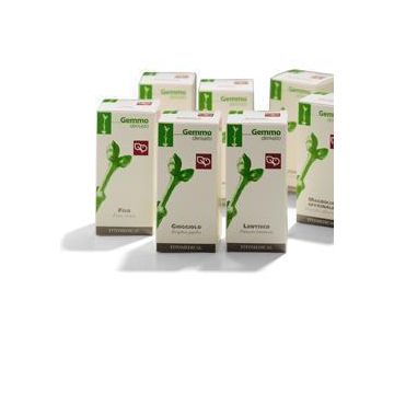 Fico Radichette Gtt 50ml mg