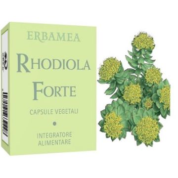 Rhodiola Forte 24cps