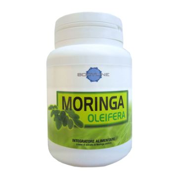 Moringa Oleifera 60cps