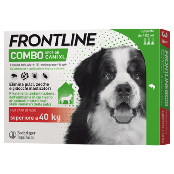 Frontline Combo*3pip >40kg ca