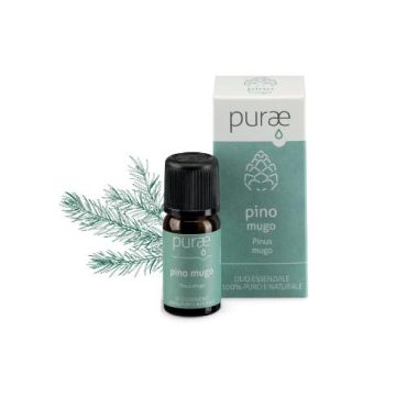 Purae oe Pino Mugo Bio 10ml