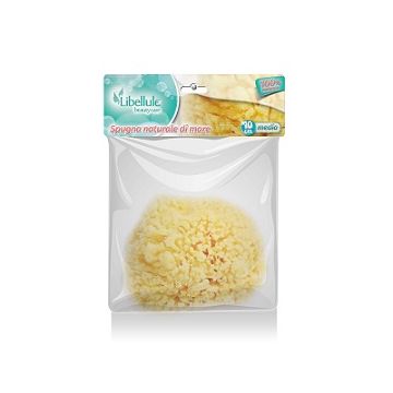 Libellule Spugna Nat Mare 10