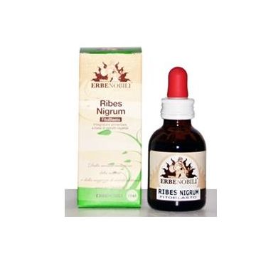 Fitoblasto Ribes Nigrum 50ml