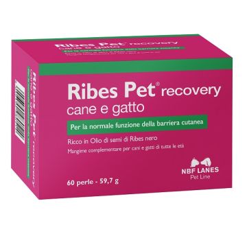 Ribes Pet Recovery 60prl
