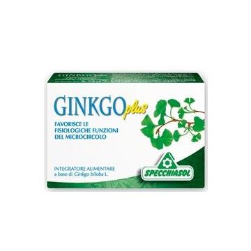 Ginkgo Plus 30cps