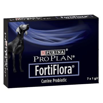 Pp Fortiflora Cane 7bust