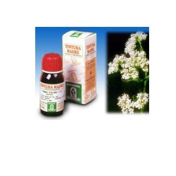 Valeriana 36 tm 50ml