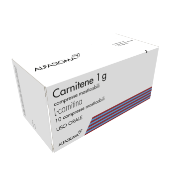 Carnitene*10cpr Mast 1g