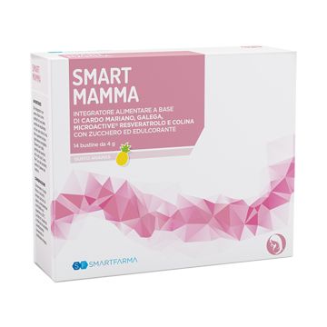 Smart Mamma 14bust Ananas