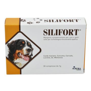 Silifort 30cpr 1g