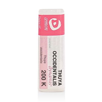 Thuya Occident 200k gl