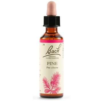 Pine Bach Orig 20ml