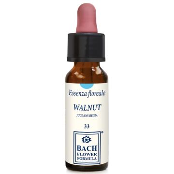 Walnut Original 10ml Gtt