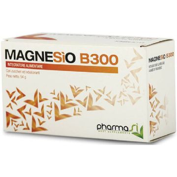 Magnesio b 300 30bust
