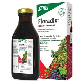 Floradix 250ml
