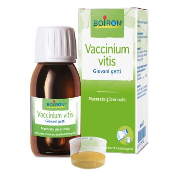Vaccinium Vitis mg 60ml