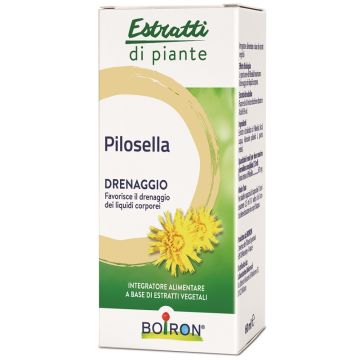 Pilosella Estr Piante ei 60ml
