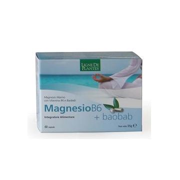 Magnesio B6+baobab 60cps
