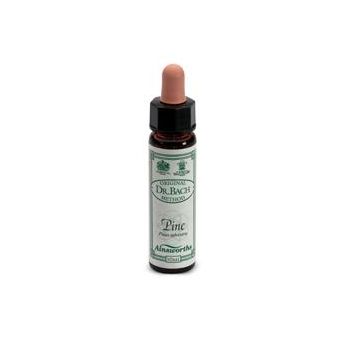 Ainsworths Pine 10ml