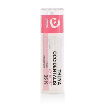 Thuya Occident 35k gr