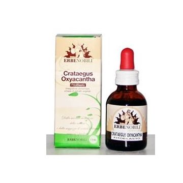 Fitoblasto Crataegus Oxyac 50m