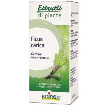 Ficus Car Estr Piante mg 60ml