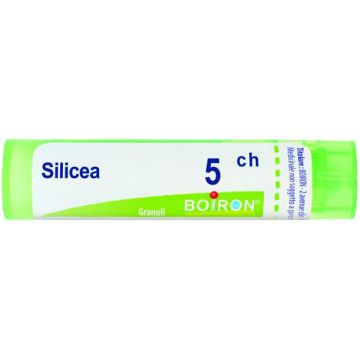 Silicea 5ch gr