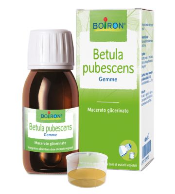 Betula Pub Boi mg 60ml Int
