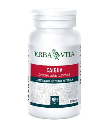 Caigua 60cps 400mg