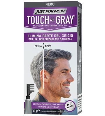 Just For Men Touch of Gray ne