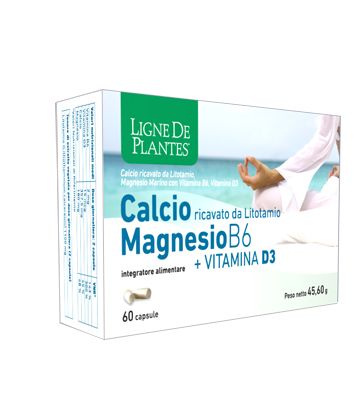 Calcio+magnesio B6+vitd3 60cps